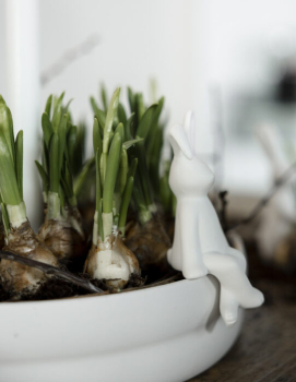 Preview: Pelle Hase von Storefactory