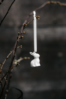 Maja Hase - mit Band